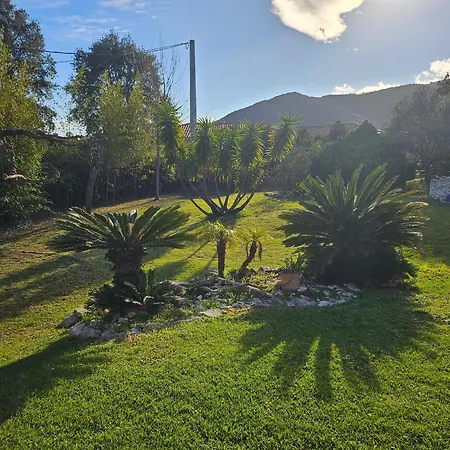 Boca